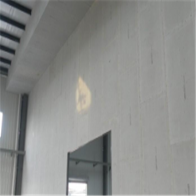 宜春宁波ALC板|EPS加气板隔墙与混凝土整浇联接的实验研讨
